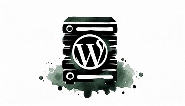 WordPress hosting – Amplify Digital